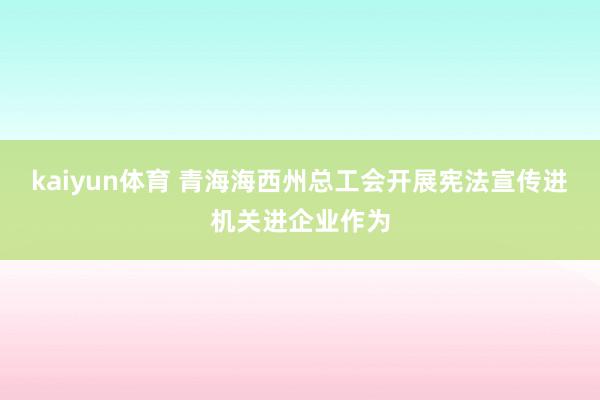 kaiyun体育 青海海西州总工会开展宪法宣传进机关进企业作为