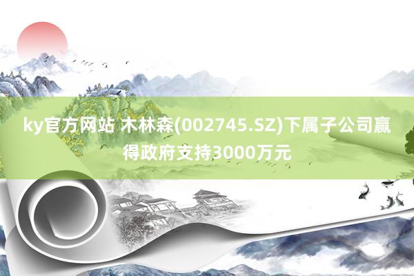 ky官方网站 木林森(002745.SZ)下属子公司赢得政府支持3000万元