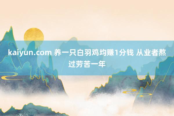 kaiyun.com 养一只白羽鸡均赚1分钱 从业者熬过劳苦一年