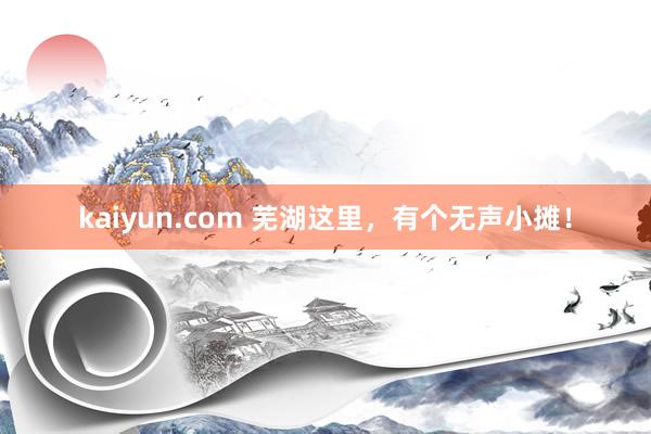 kaiyun.com 芜湖这里，有个无声小摊！