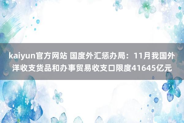 kaiyun官方网站 国度外汇惩办局：11月我国外洋收支货品和办事贸易收支口限度41645亿元