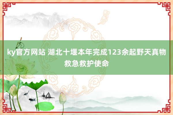 ky官方网站 湖北十堰本年完成123余起野天真物救急救护使命