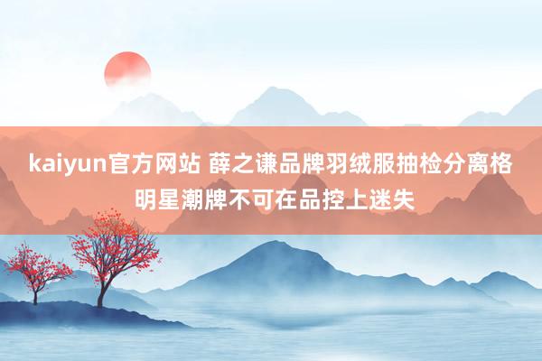 kaiyun官方网站 薛之谦品牌羽绒服抽检分离格 明星潮牌不可在品控上迷失