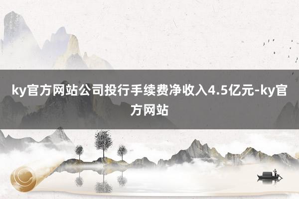 ky官方网站公司投行手续费净收入4.5亿元-ky官方网站