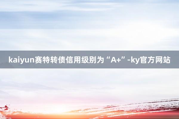 kaiyun赛特转债信用级别为“A+”-ky官方网站