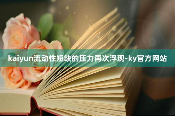 kaiyun流动性短缺的压力再次浮现-ky官方网站