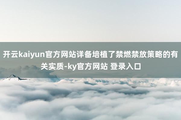 开云kaiyun官方网站详备培植了禁燃禁放策略的有关实质-ky官方网站 登录入口